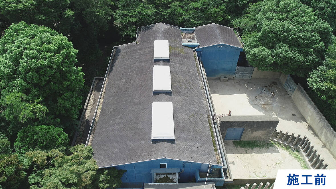 before画像