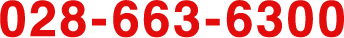 028-663-6300