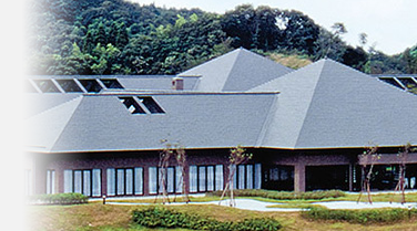 タイマルーフF25