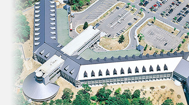 タイマルーフNF25