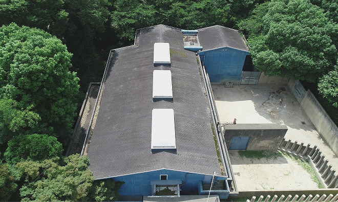 T動物園【横葺き】タイマルーフM型