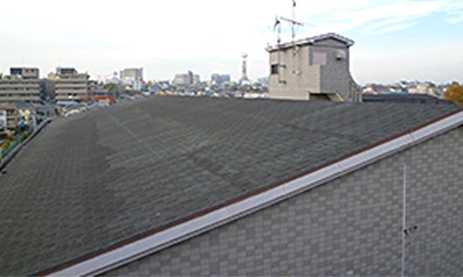 Wマンション【横葺き】カナディー