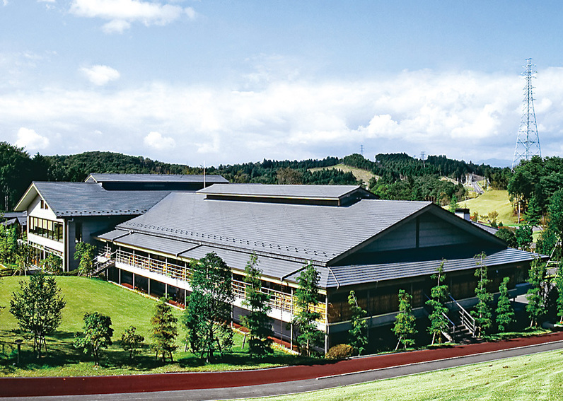 ロペ倶楽部  【横葺き】タイマルーフNF25