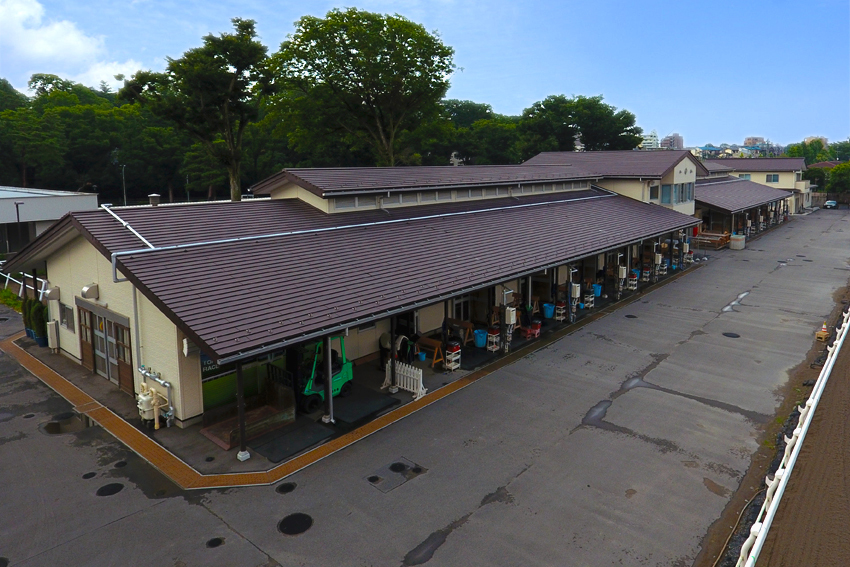 JRA東京競馬場 乗馬センター   【横葺き】カナディー