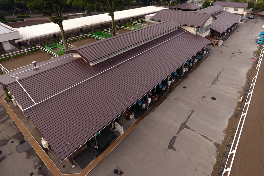 JRA東京競馬場 乗馬センター   【横葺き】カナディー