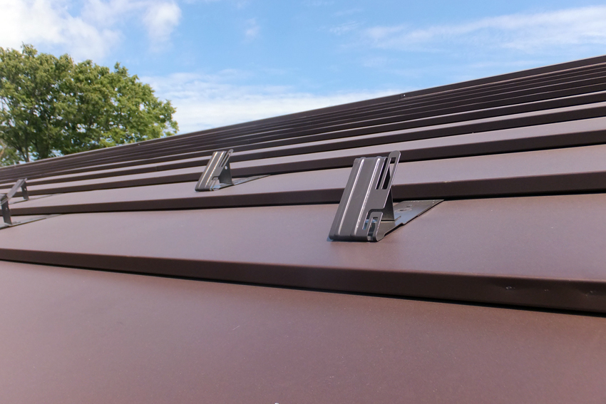 JRA東京競馬場 乗馬センター   【横葺き】カナディー