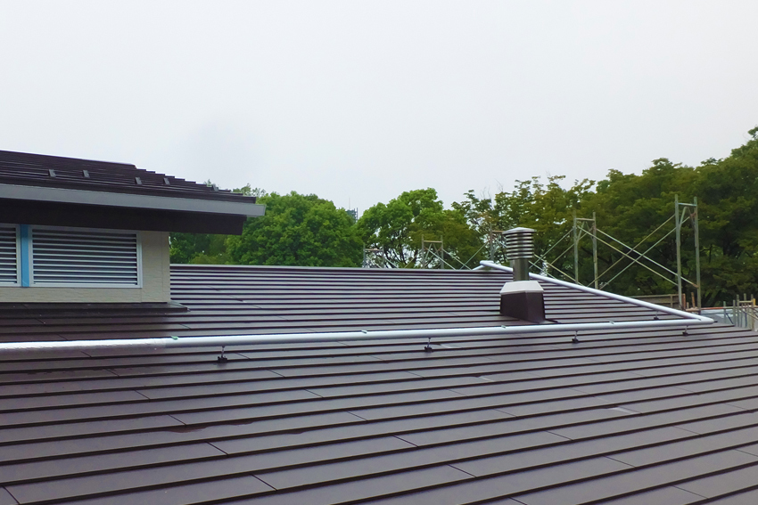 JRA東京競馬場 乗馬センター   【横葺き】カナディー