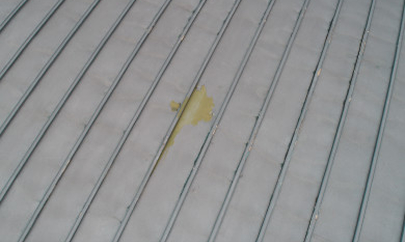 H小学校屋内運動場【縦葺き】スタンディングロック